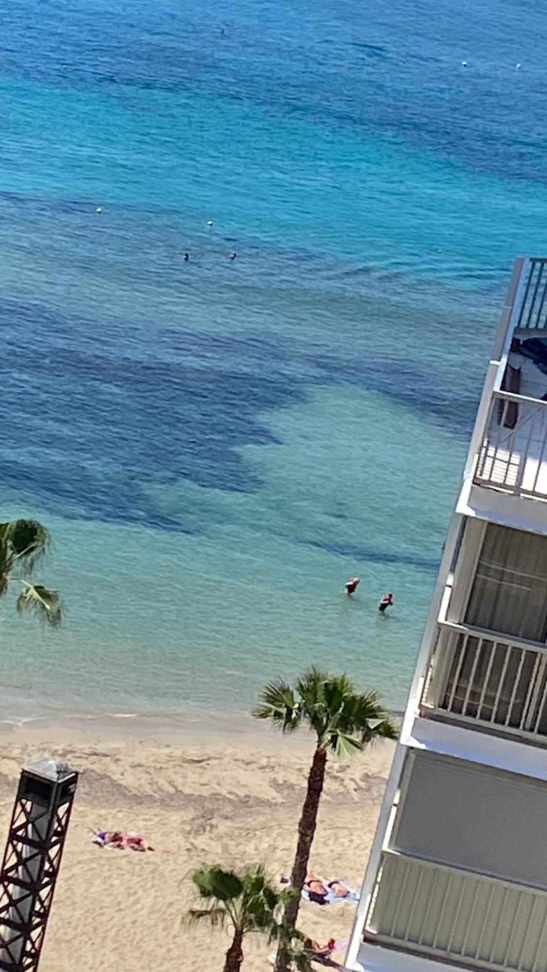 Appartement Benidorm Beach Extérieur photo
